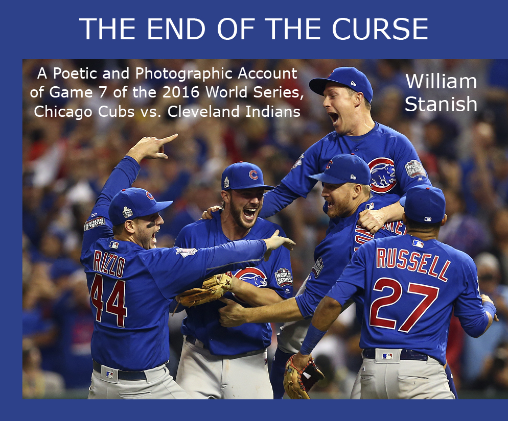 Book cover for The End of the Curse